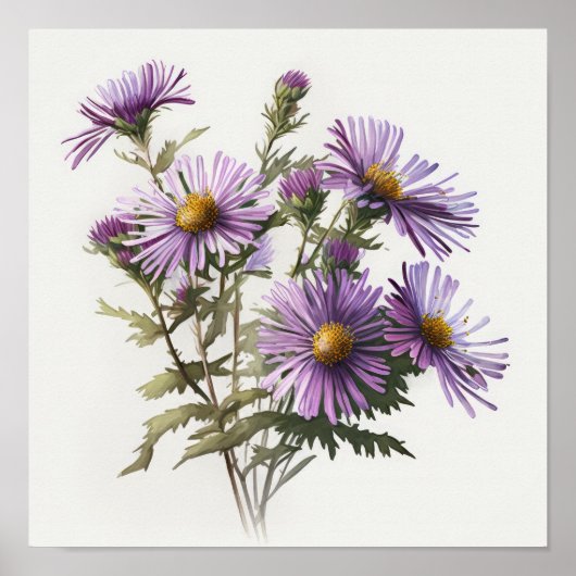 Paarse Aster Bloem Kunstprint Poster (Voorkant)