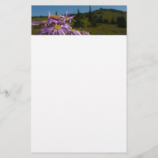 Paarse Aster Bloemen bij Mount Rainier Briefpapier (Voorkant)