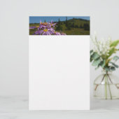 Paarse Aster Bloemen bij Mount Rainier Briefpapier (Staand voorkant)