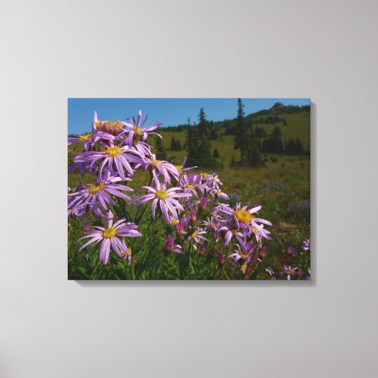 Paarse Aster Bloemen bij Mount Rainier Canvas Afdruk (Voorkant)