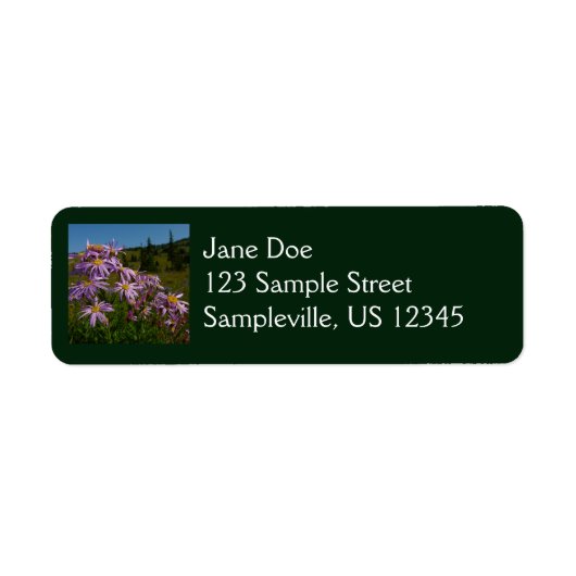 Paarse Aster Bloemen bij Mount Rainier Etiket (Voorkant)