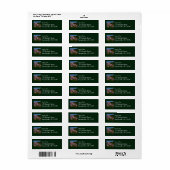 Paarse Aster Bloemen bij Mount Rainier Etiket (Full Sheet)