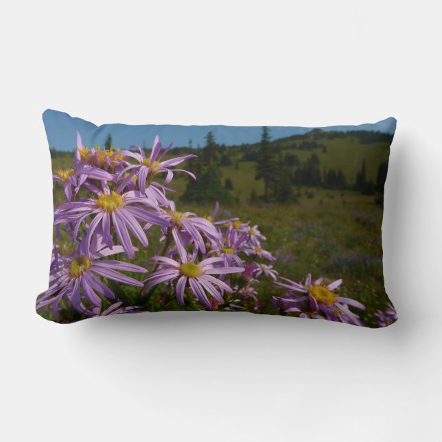 Paarse Aster Bloemen bij Mount Rainier Kussen (Voorkant)