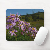 Paarse Aster Bloemen bij Mount Rainier Muismat (Met muis)