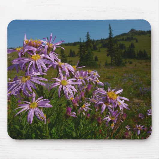 Paarse Aster Bloemen bij Mount Rainier Muismat (Voorkant)
