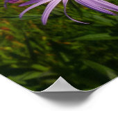 Paarse Aster Bloemen bij Mount Rainier Poster (Hoek)