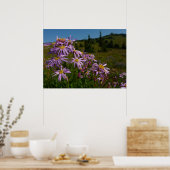 Paarse Aster Bloemen bij Mount Rainier Poster (Keuken)