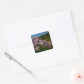 Paarse Aster Bloemen bij Mount Rainier Vierkante Sticker (Envelop)