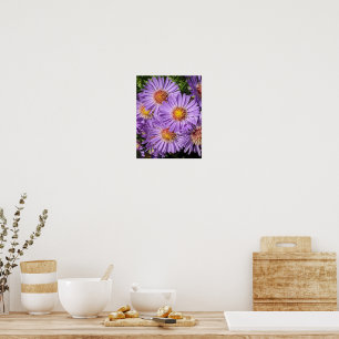 Paarse Aster Bloemen Bloemstuk Poster