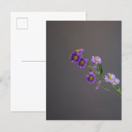 Paarse Aster Briefkaart