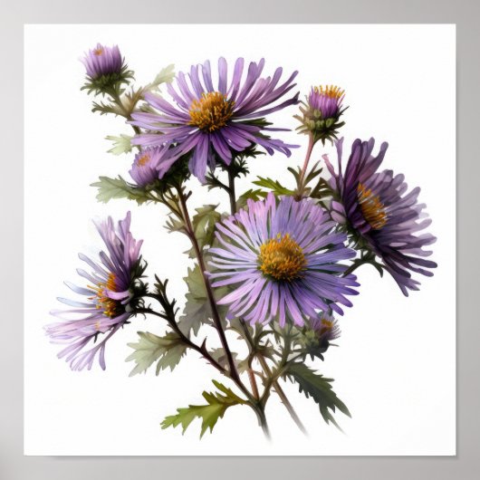 Paarse Aster Flower Art Print Poster (Voorkant)
