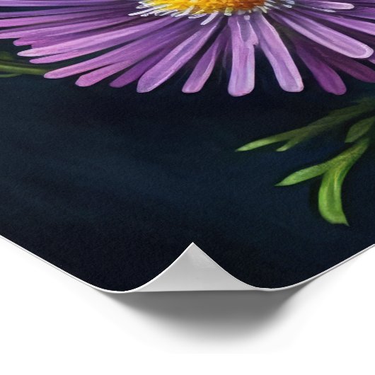 Paarse Aster Flower Art Print Poster (Hoek)