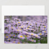 Paarse Aster Flowers Briefpapier (Voorkant / Achterkant)
