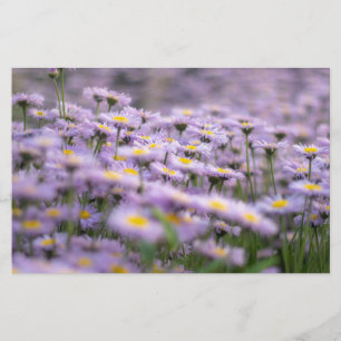 Paarse Aster Flowers Briefpapier