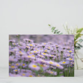 Paarse Aster Flowers Briefpapier (Staand voorkant)