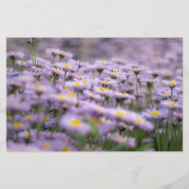 Paarse Aster Flowers Briefpapier