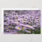 Paarse Aster Flowers Briefpapier (Voorkant / Achterkant)