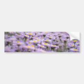 Paarse Aster Flowers Bumpersticker (Voorkant)