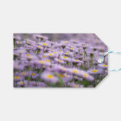 Paarse Aster Flowers Cadeaulabel (Voorkant (Horizontaal))