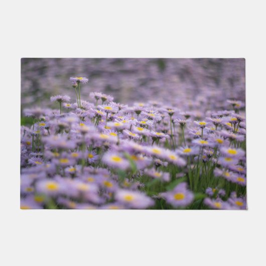Paarse Aster Flowers Deurmat (Voorkant)