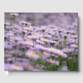 Paarse Aster Flowers Gastenboek