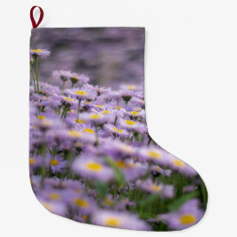 Paarse Aster Flowers Grote Kerstsok