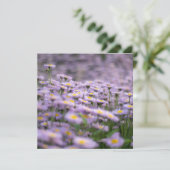 Paarse Aster Flowers Kaart (Staand voorkant)