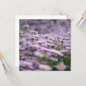 Paarse Aster Flowers Kaart (Voorkant / Achterkant in situ)