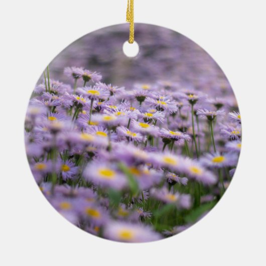 Paarse Aster Flowers Keramisch Ornament (Achterkant)