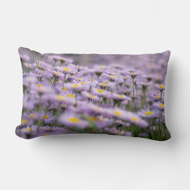 Paarse Aster Flowers Kussen (Voorkant)