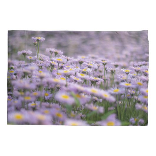 Paarse Aster Flowers Kussensloop (Achterkant)