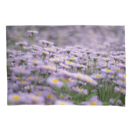 Paarse Aster Flowers Kussensloop (Voorkant)