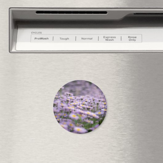 Paarse Aster Flowers Magneet (Insitu (Vaatwasser))