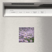 Paarse Aster Flowers Magneet (Insitu (Vaatwasser))