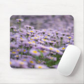 Paarse Aster Flowers Muismat (Met muis)