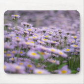 Paarse Aster Flowers Muismat (Voorkant)