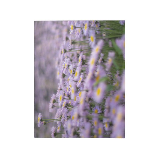 Paarse Aster Flowers Notitieblok (Linkerzijde)