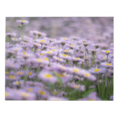 Paarse Aster Flowers Notitieblok (Voorkant)