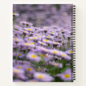 Paarse Aster Flowers Notitieboek (Achterkant)
