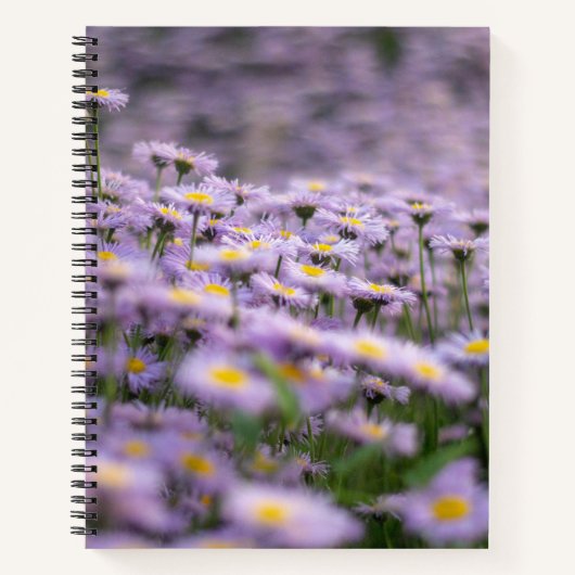 Paarse Aster Flowers Notitieboek (Voorkant)