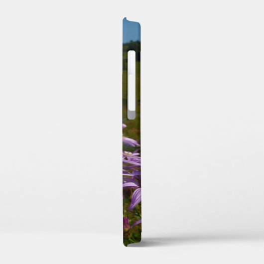 Paarse Aster Flowers op Mount Rainier Case-Mate iPhone Case (Achterkant / Links)