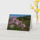 Paarse Aster Flowers op Mount Rainier Kaart (Gele Bloem)