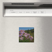 Paarse Aster Flowers op Mount Rainier Magneet (Insitu (Vaatwasser))