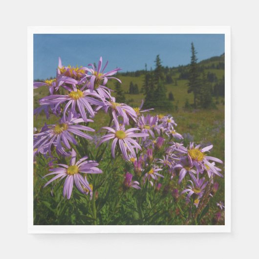 Paarse Aster Flowers op Mount Rainier Servet (Voorkant)