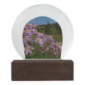Paarse Aster Flowers op Mount Rainier Sneeuwbol (Achterkant)