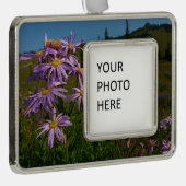 Paarse Aster Flowers op Mount Rainier Verzilverd Omlijst Ornament (Rechts)