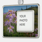 Paarse Aster Flowers op Mount Rainier Verzilverd Omlijst Ornament (Links)