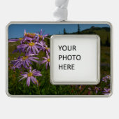 Paarse Aster Flowers op Mount Rainier Verzilverd Omlijst Ornament (Voorkant)