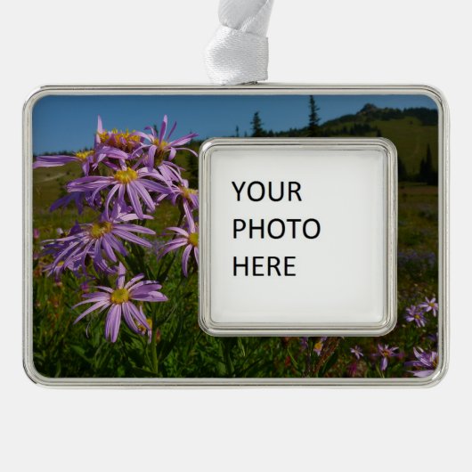 Paarse Aster Flowers op Mount Rainier Verzilverd Omlijst Ornament (Voorkant)