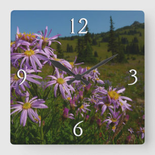 Paarse Aster Flowers op Mount Rainier Vierkante Klok